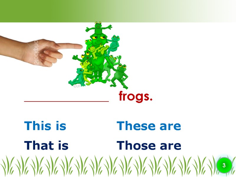 This is ________________   frogs. 3 That is Those are These are